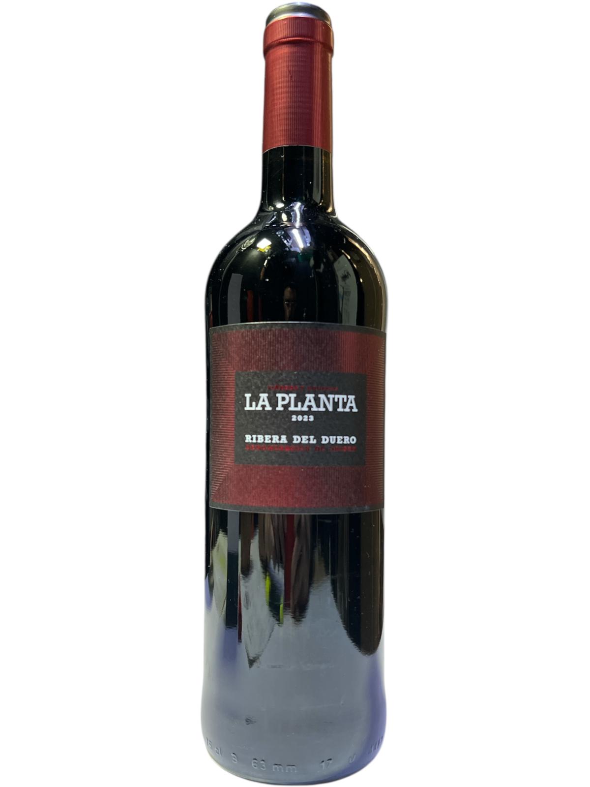 LA PLANTA RIBERA DEL DUERO 2023