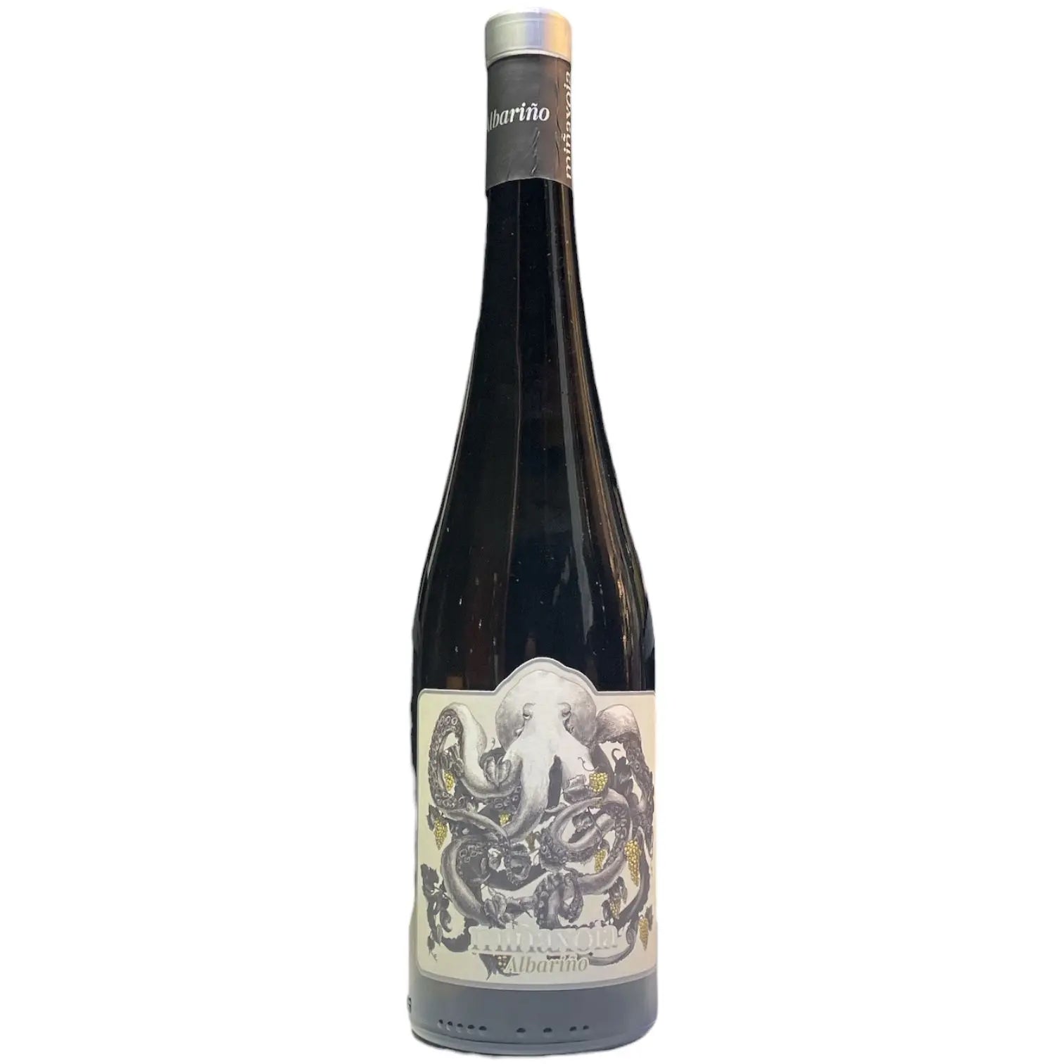 LADRON DE LUNAS MIÑAXOIA ALBARIÑO 2024 75CL