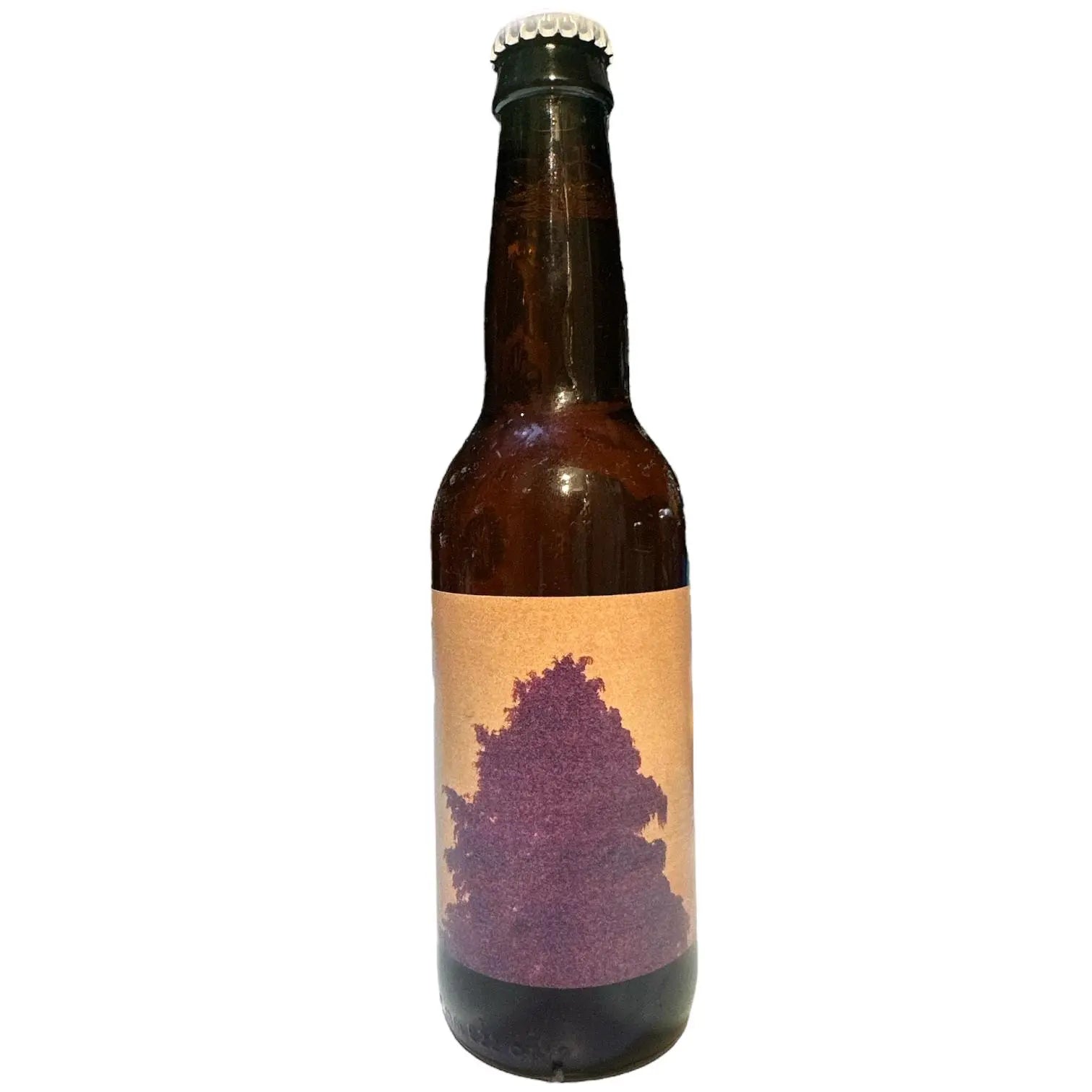 TOOL SUR IDAHO 7 SOUR MASH IPA 33CL