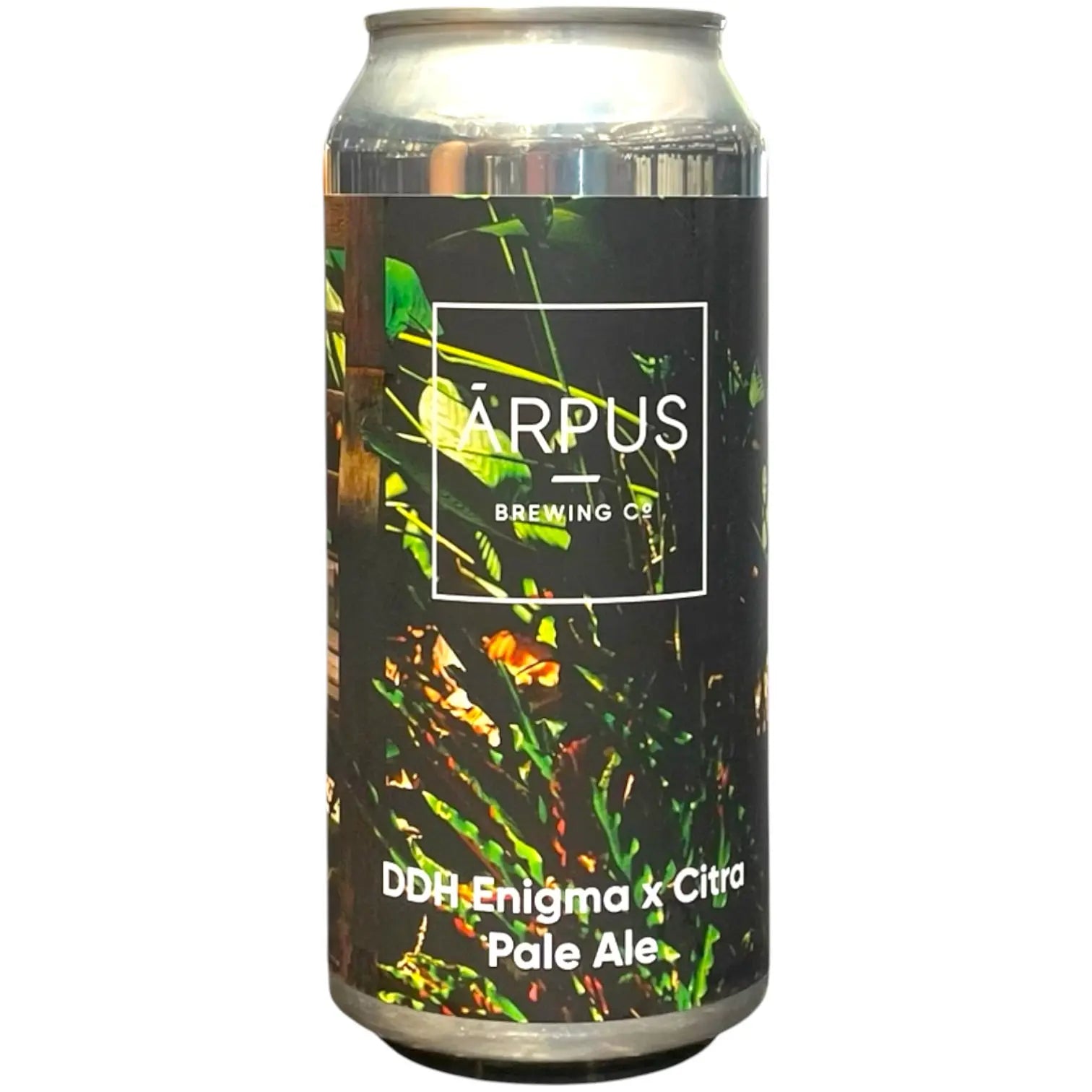 ARPUS ENIGMA CITRA PALE ALE 44CL
