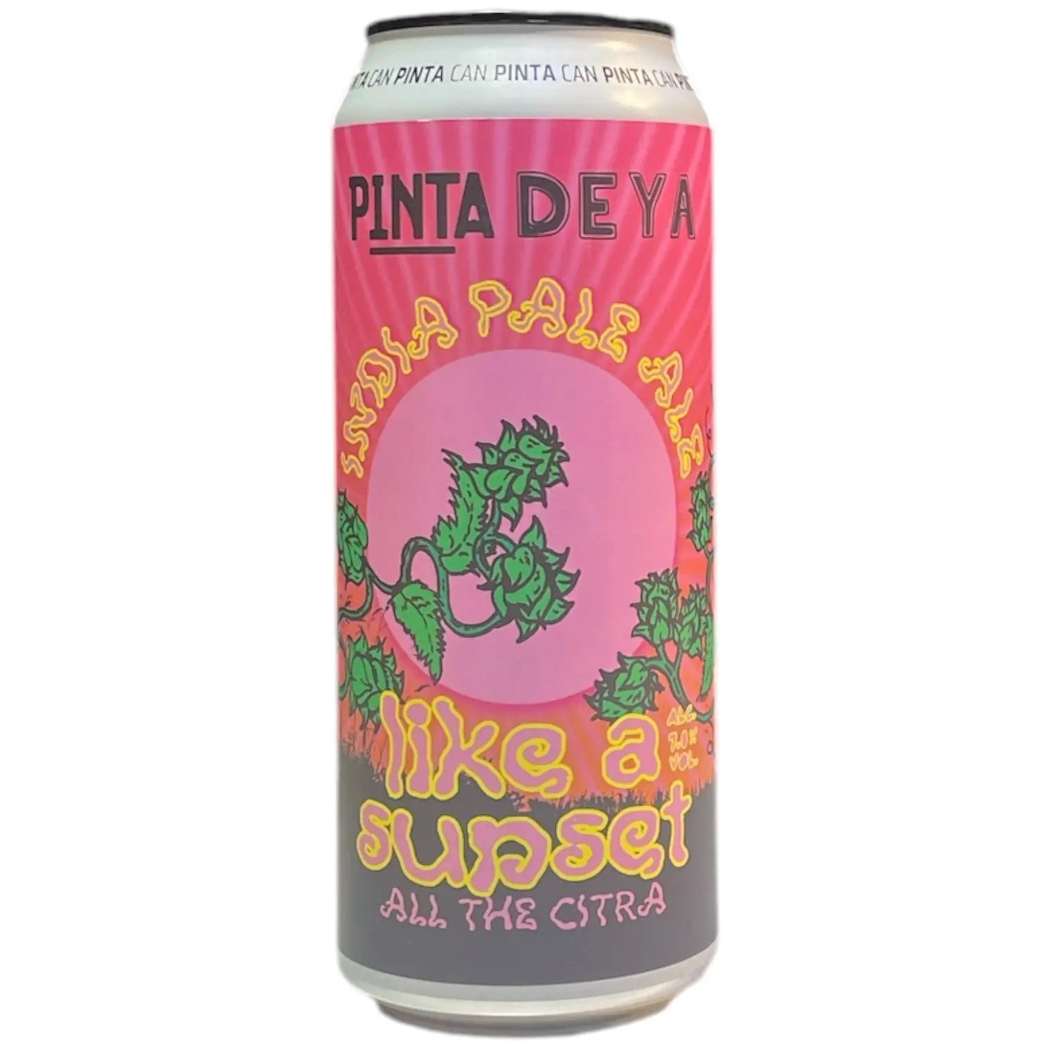 PINTA X DEYA LIKE A SUNSET ALL THE CITRA IPA 44CL