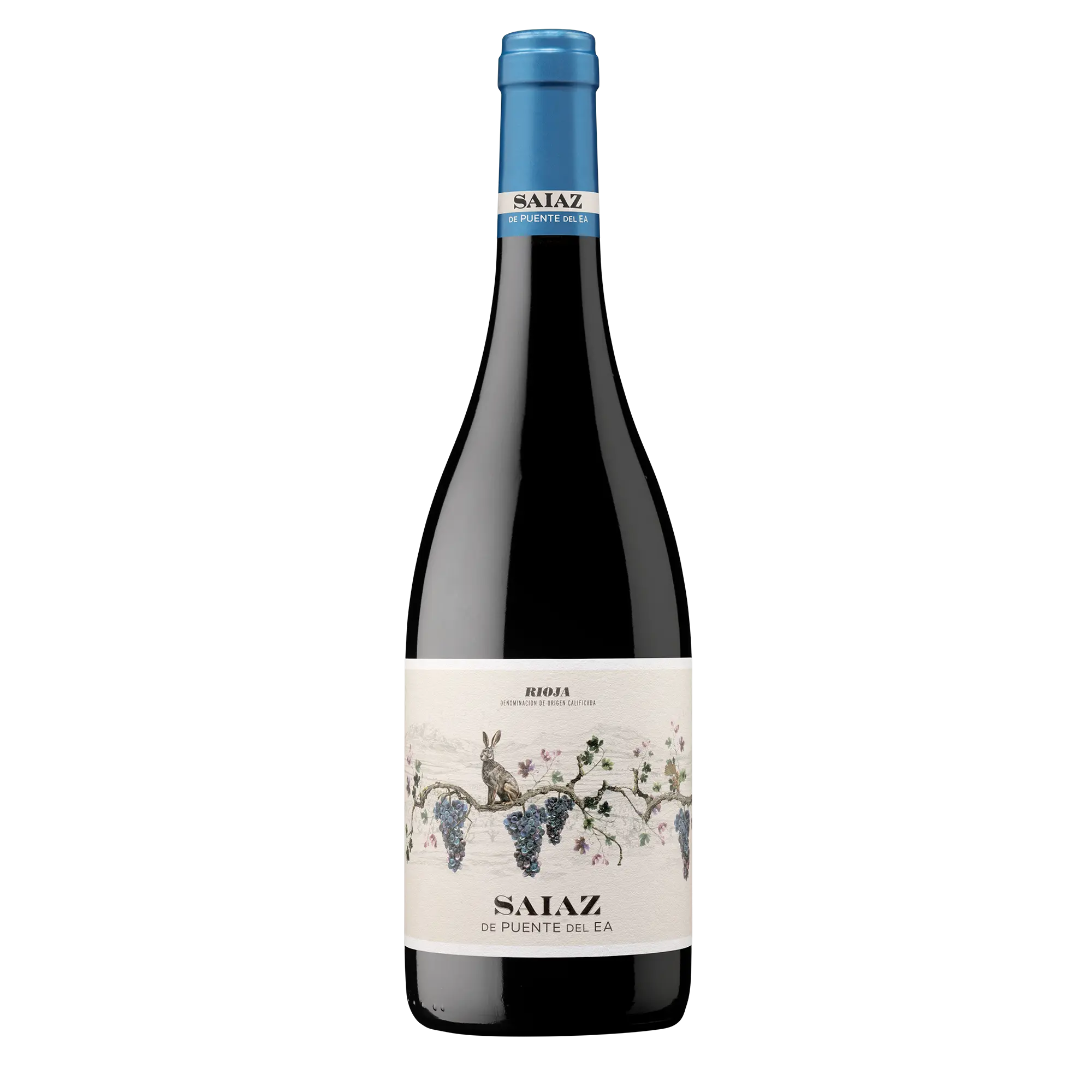 SAIAZ RIOJA MAGNUM 2021 1.5CL
