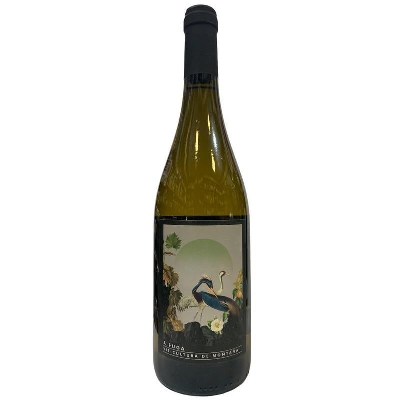 A FUGA BLANCO 2018