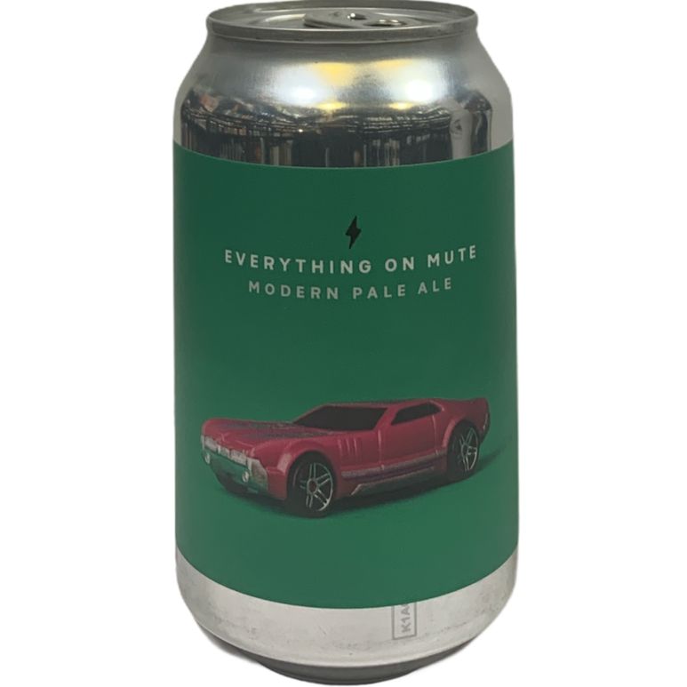 EVERYTHING ON MUTE GARAGE 33CL