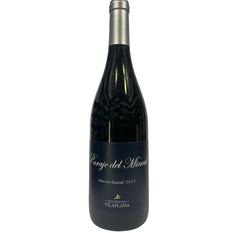 PARAJE DEL MINCAL SELECCION ESPECIAL 2013