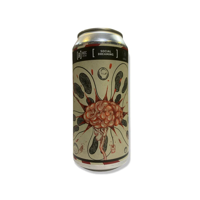 REC SOCIAL DREAMING 440ML